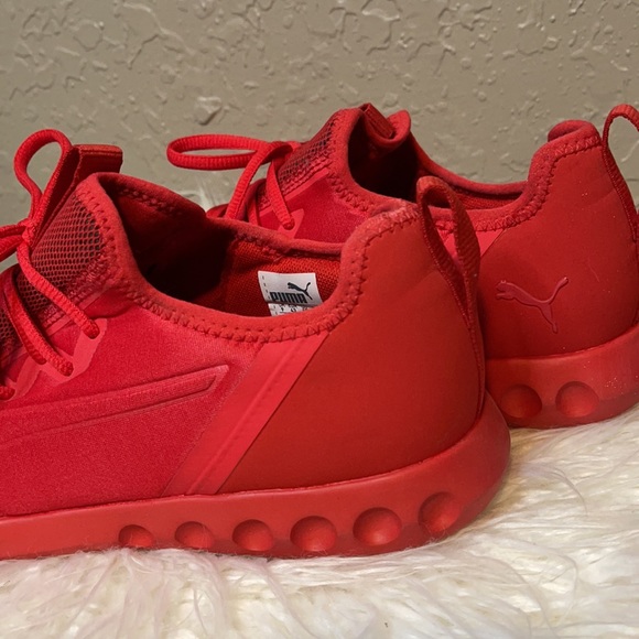 Red Puma - Picture 3 of 6